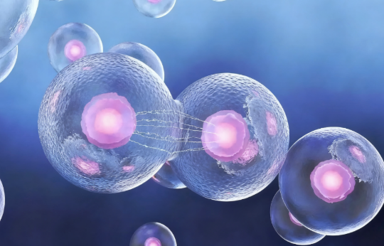 1758679139994603.png image.png