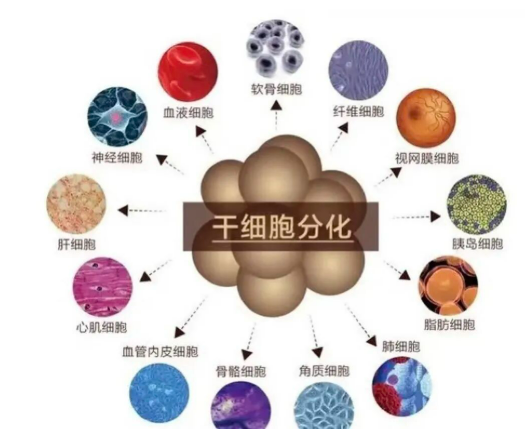 1758679154152883.png image.png