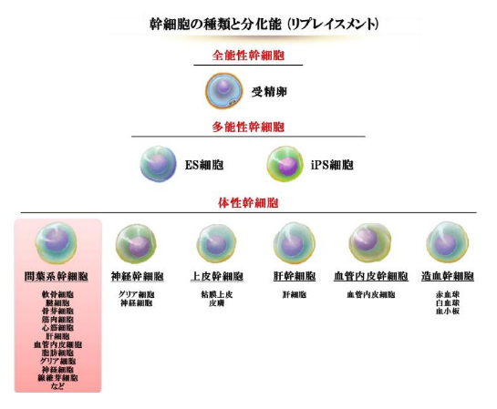 1758679174276639.png image.png