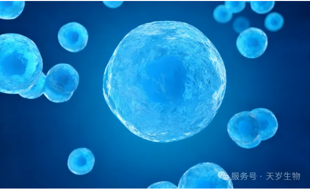 六個(gè)“不起眼”的跡象提示免疫力下滑,科學(xué)存儲為健康護(hù)航